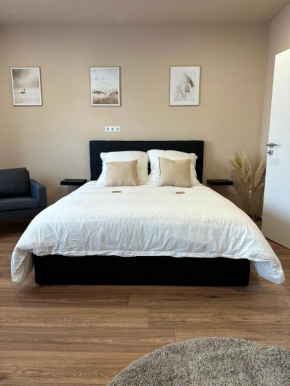 Modernes Apartment am Dreiländereck